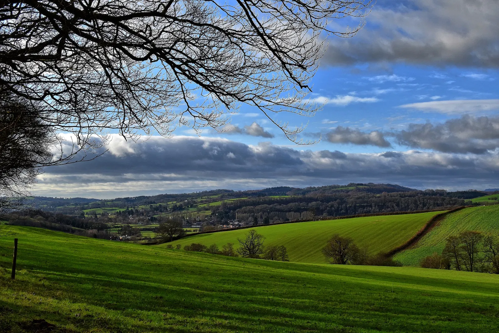 Natural Burial Usk Meadow Natural Burial Usk Meadow