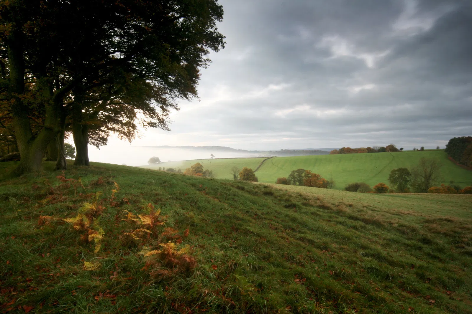 Natural Burial Usk Meadow Natural Burial Usk Meadow