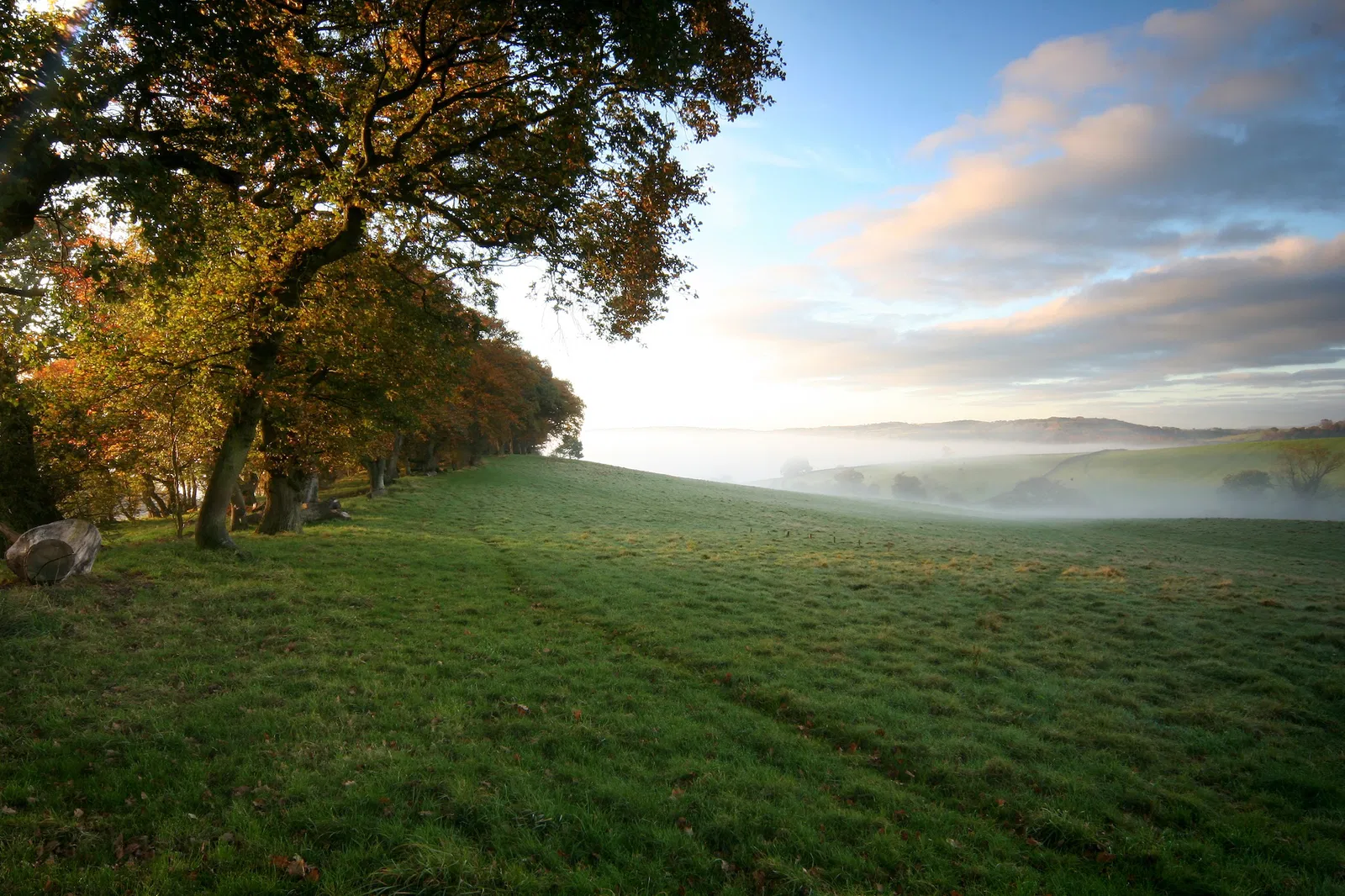 Natural Burial Usk Meadow Natural Burial Usk Meadow