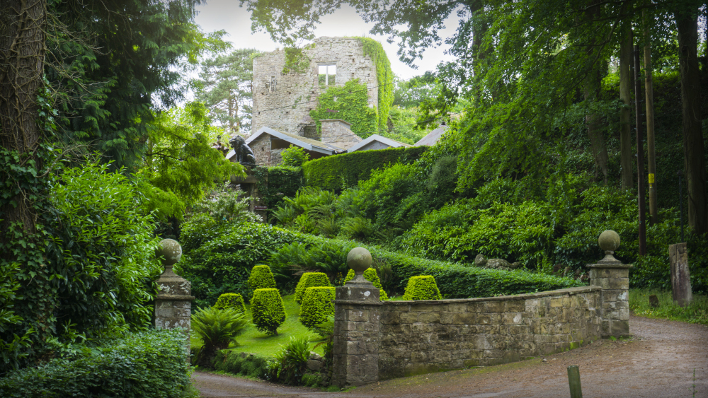 Castle Entrance